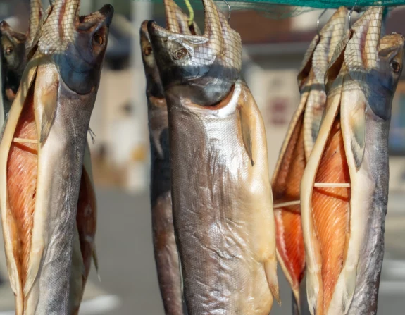 Как отличить кету от горбуши и выбрать качественную рыбу для домашнего копчения