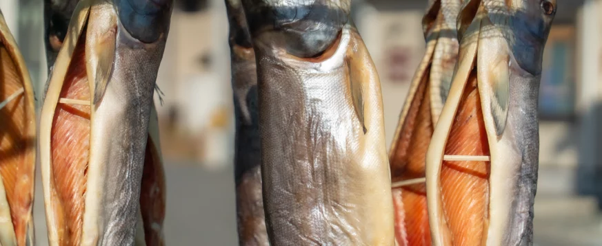 Как отличить кету от горбуши и выбрать качественную рыбу для домашнего копчения